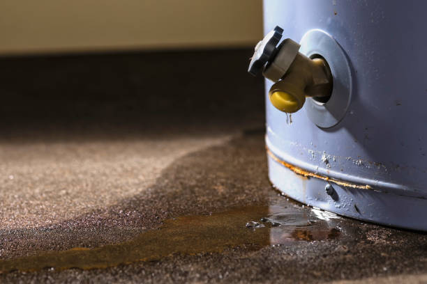 Best Professional water damage repair  in Coronita, CA