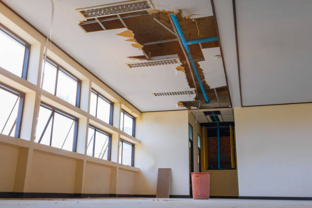 Best Water damage restoration specialists  in Coronita, CA