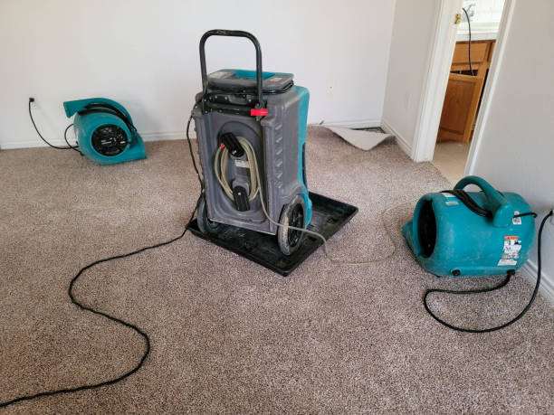 Best Flooded house restoration  in Coronita, CA