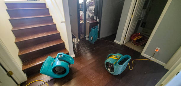 Best Commercial water damage restoration  in Coronita, CA