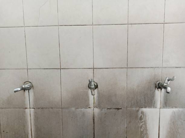 Best 24/7 water damage repair  in Coronita, CA