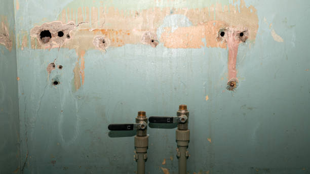 Water damage restoration mold remediation in Coronita, CA