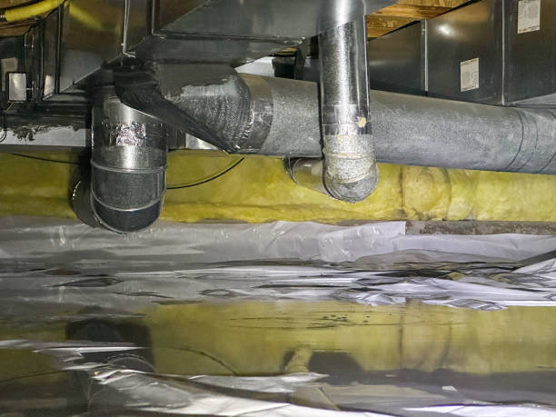Best Water damage contractors near me  in Coronita, CA