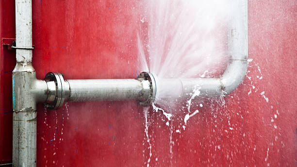 Best Mold removal after water damage  in Coronita, CA
