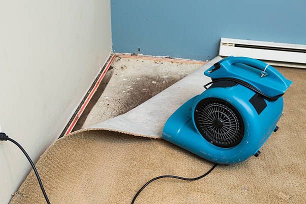 Best Sewage cleanup and water damage restoration  in Coronita, CA